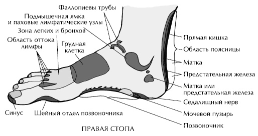 Йога и сексуальные практики