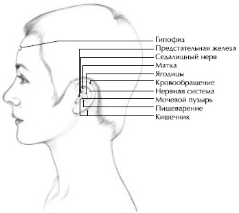 Йога и сексуальные практики