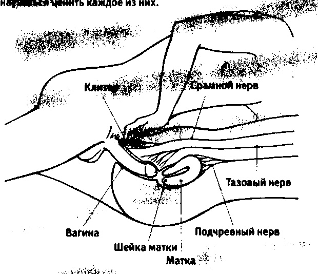 Любовь и секс. Как мы ими занимаемся