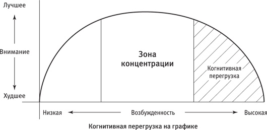 Максимальная концентрация. Как сохранить эффективность в эпоху клипового мышления