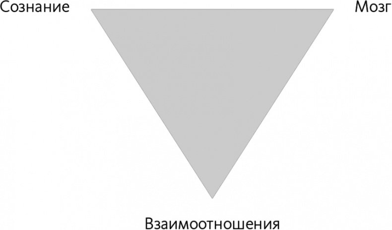 Майндсайт. Новая наука личной трансформации