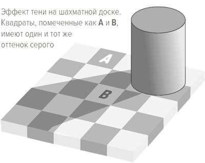 Теплая чашка в холодный день. Как физические ощущения влияют на наши решения