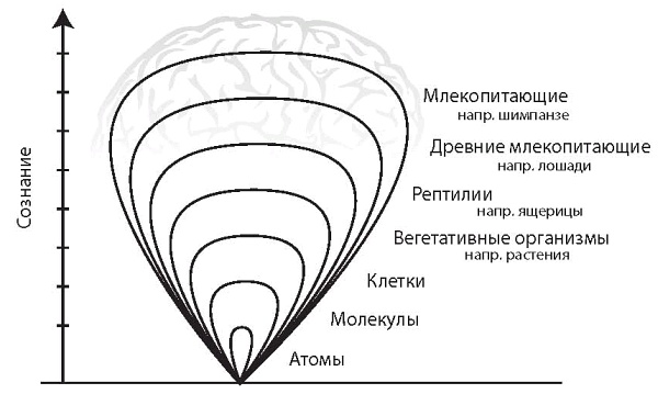 Интегральное видение. Краткое введение в революционный интегральный подход к жизни, Богу, вселенной и всему остальному