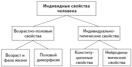 Психология человека. Введение в психологию субъективности