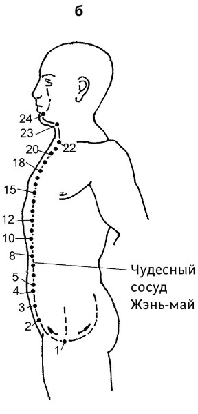 Большой атлас целительных точек. 200 упражнений для здоровья и долголетия