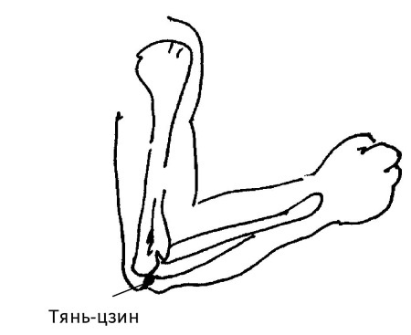 Большой атлас целительных точек. 200 упражнений для здоровья и долголетия