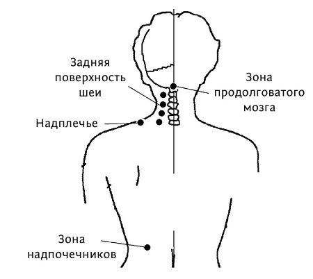 Большой атлас целительных точек. 200 упражнений для здоровья и долголетия