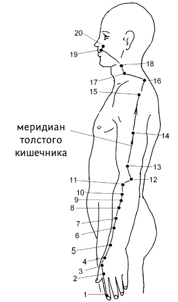 Большой атлас целительных точек. 200 упражнений для здоровья и долголетия