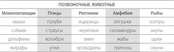 Тренировка памяти. Экспресс-курс