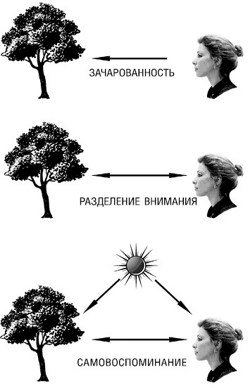 Психология типов тела. Развитие новых возможностей. Практический подход