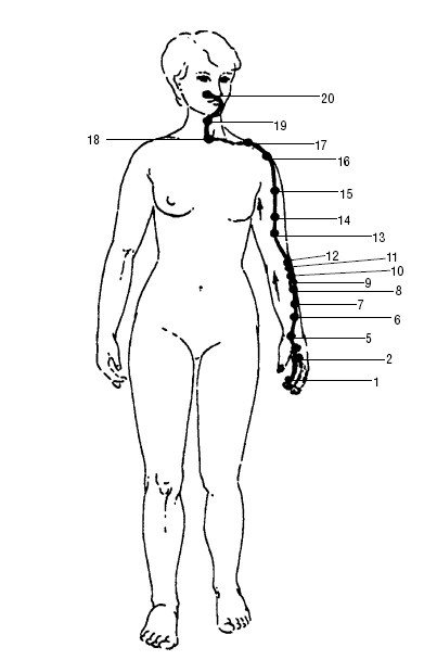Исцеляющие точки организма. Самые надежные техники самопомощи