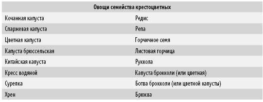 Покончим с диетами. Оптимальный вес за две недели на всю жизнь