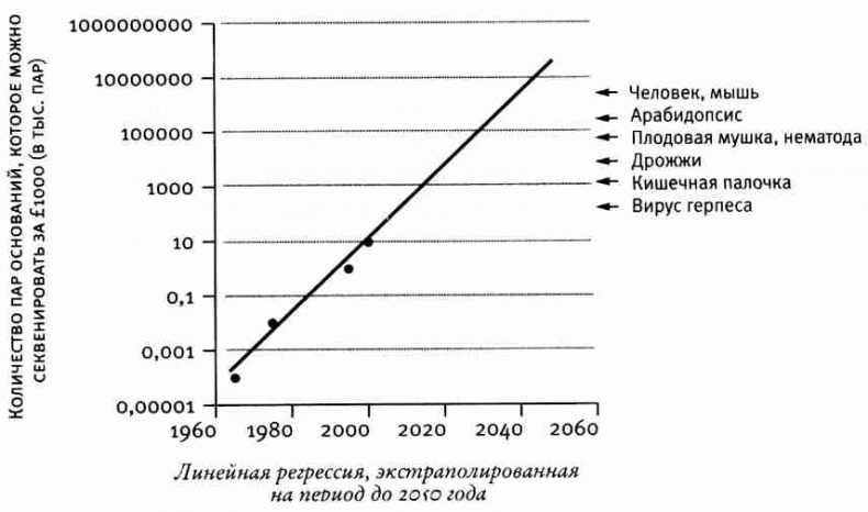 Капеллан дьявола. Размышления о надежде, лжи, науке и любви