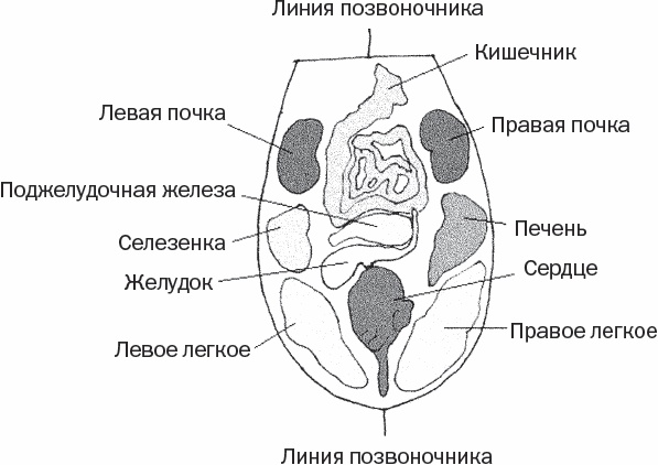 Избавиться от боли за 30 секунд! Секретные точки здоровья. Тайны древнего Китая