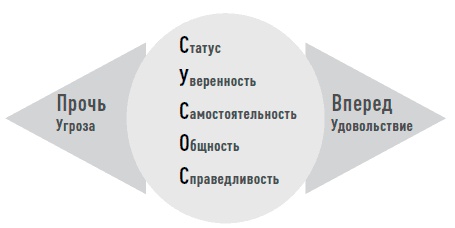 Мозг. Инструкция по применению. Как использовать свои возможности по максимуму и без перегрузок