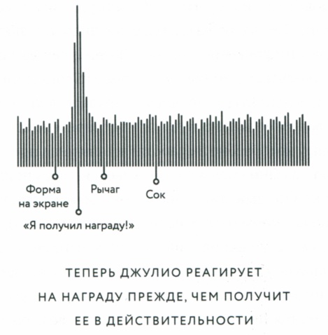 Сила привычки. Почему мы живем и работаем именно так, а не иначе