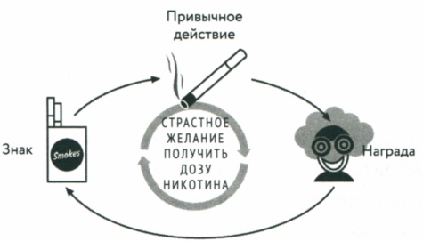 Сила привычки. Почему мы живем и работаем именно так, а не иначе