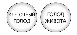 Интуитивное питание. Как перестать беспокоиться о еде и похудеть