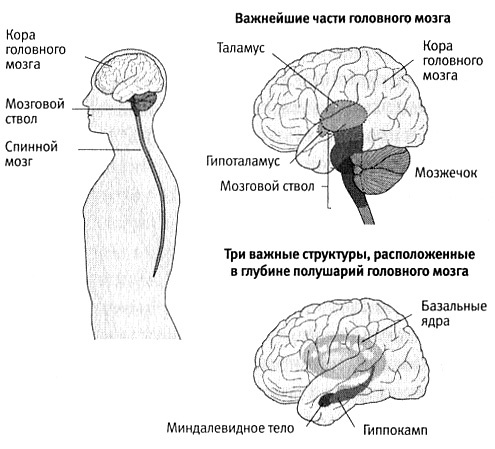 В поисках памяти