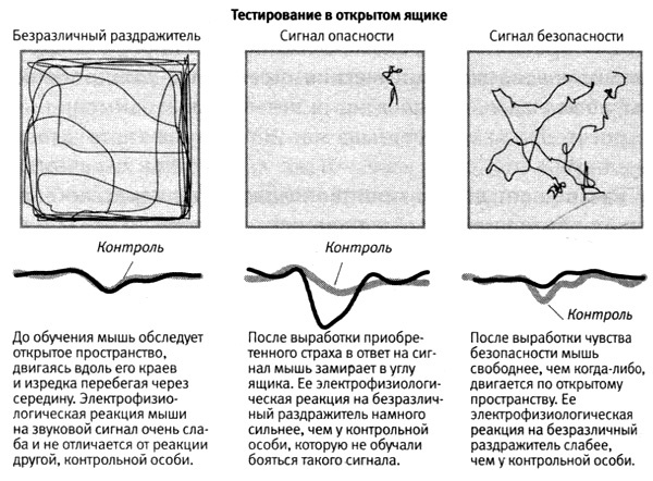 В поисках памяти