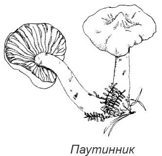 Походная книга Муми-тролля