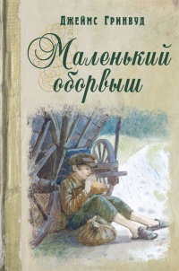 Книга Маленький оборвыш