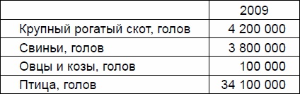 Русские землепроходцы - слава и гордость Руси