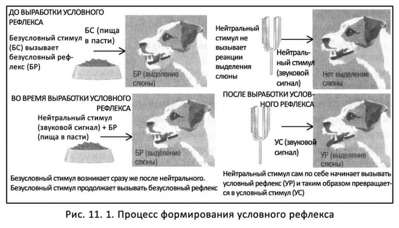 Классические случаи в психологии