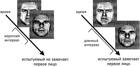 Мозг и душа. Как нервная деятельность формирует наш внутренний мир