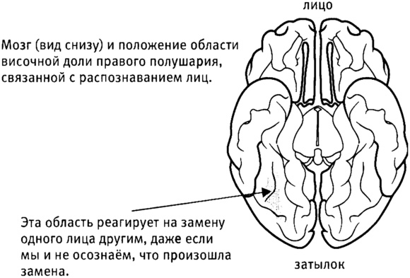 Мозг и душа. Как нервная деятельность формирует наш внутренний мир