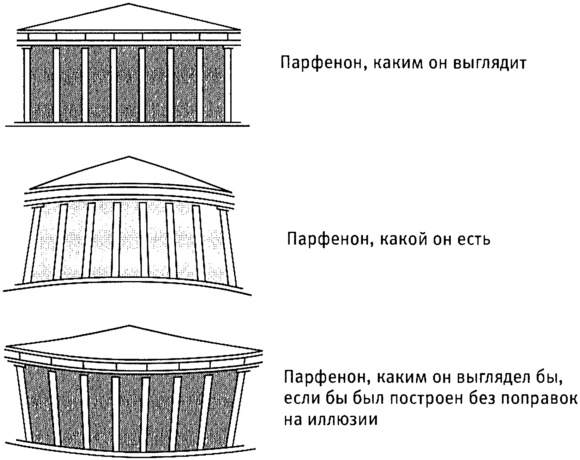 Мозг и душа. Как нервная деятельность формирует наш внутренний мир