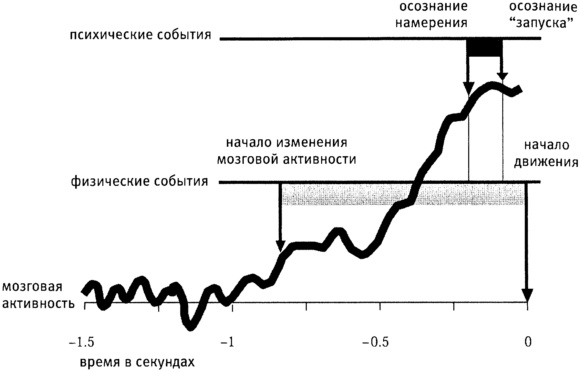 Мозг и душа. Как нервная деятельность формирует наш внутренний мир