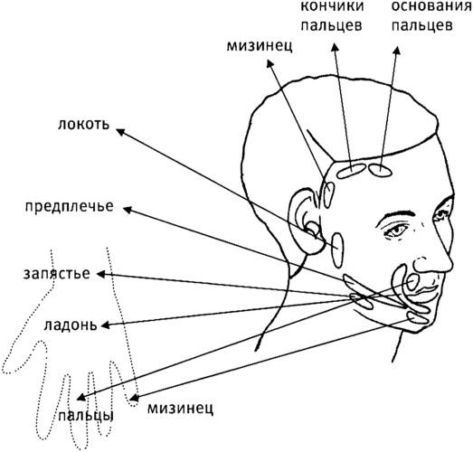 Мозг и душа. Как нервная деятельность формирует наш внутренний мир