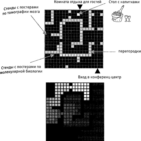 Мозг и душа. Как нервная деятельность формирует наш внутренний мир