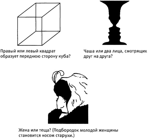 Мозг и душа. Как нервная деятельность формирует наш внутренний мир