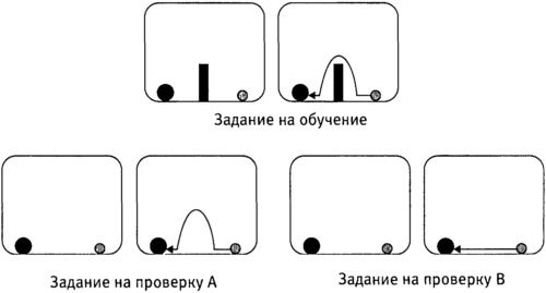 Мозг и душа. Как нервная деятельность формирует наш внутренний мир