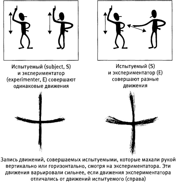 Мозг и душа. Как нервная деятельность формирует наш внутренний мир