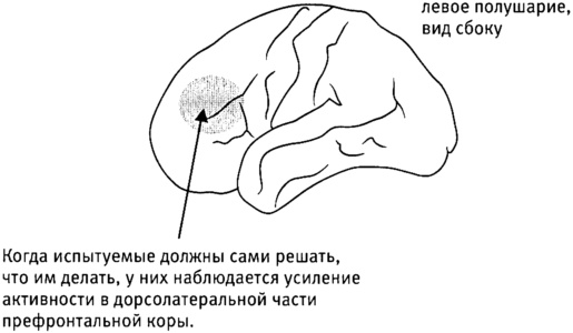 Мозг и душа. Как нервная деятельность формирует наш внутренний мир