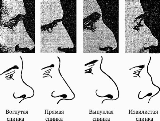 Как распознать преступника