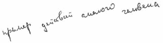 Покажи мне свою сумочку – и я скажу, кто ты. 32 фокуса визуальной психодиагностики