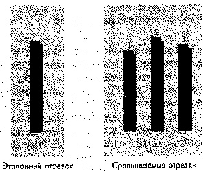 Социальная психология: Интенсивный курс