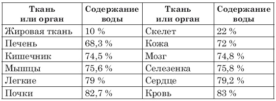 Сожги ненавистные килограммы. Как эффективно похудеть при минимуме усилий