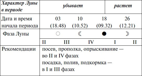 Что и когда сажать, защищать и удобрять. Календарь садовода до 2019 года