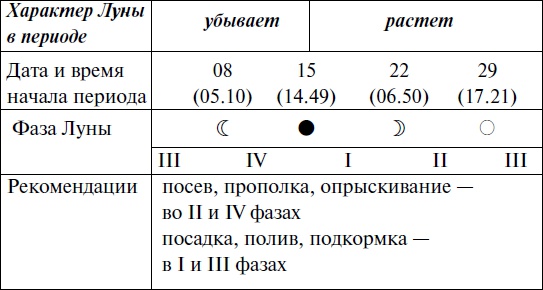 Что и когда сажать, защищать и удобрять. Календарь садовода до 2019 года