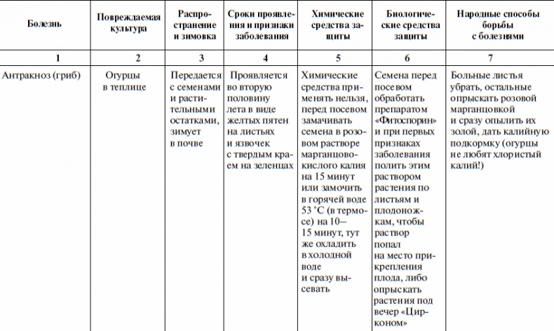 Что и когда сажать, защищать и удобрять. Календарь садовода до 2019 года