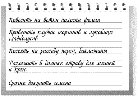 Сад и огород: все делаем вовремя. Сеем, удобряем, собираем