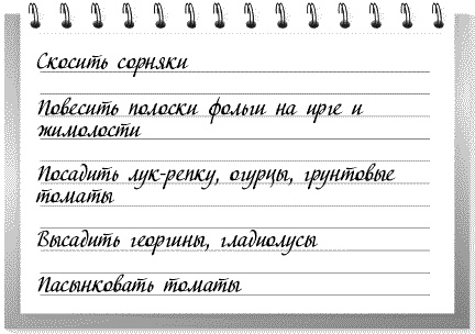 Сад и огород: все делаем вовремя. Сеем, удобряем, собираем