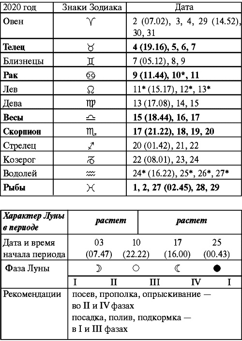 Сад и огород: все делаем вовремя. Сеем, удобряем, собираем