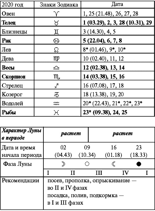 Сад и огород: все делаем вовремя. Сеем, удобряем, собираем