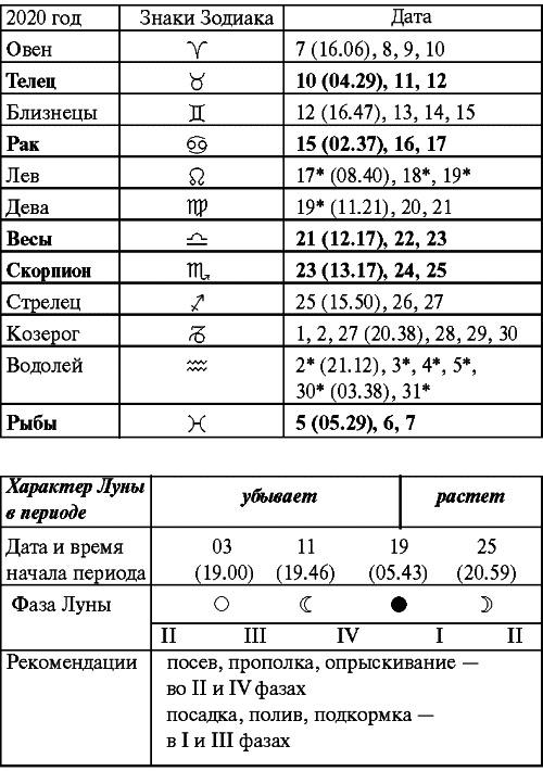 Сад и огород: все делаем вовремя. Сеем, удобряем, собираем